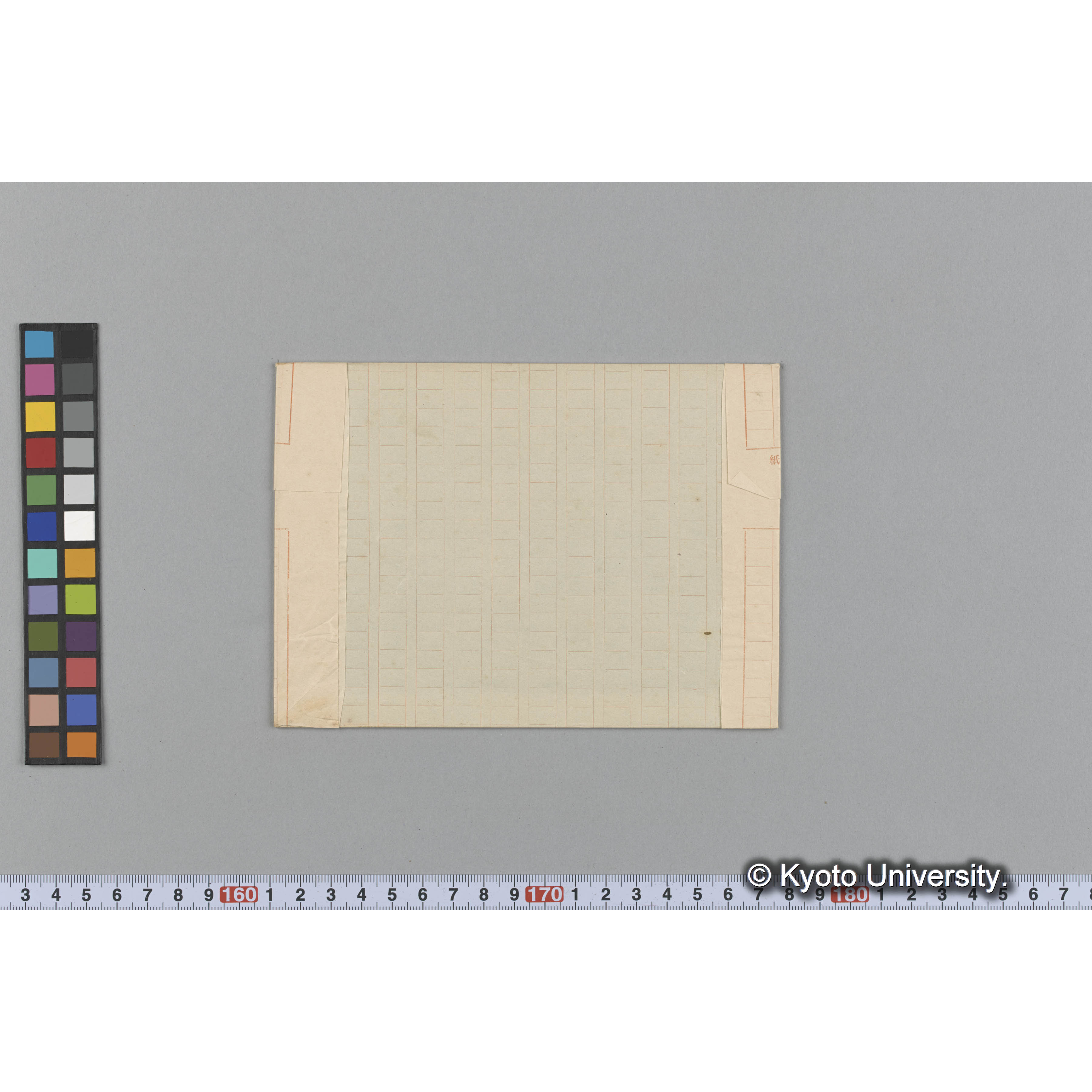 Amphiroa californica Dne / Herb. Mus Paris / Original （写真帳番号 4） (2)