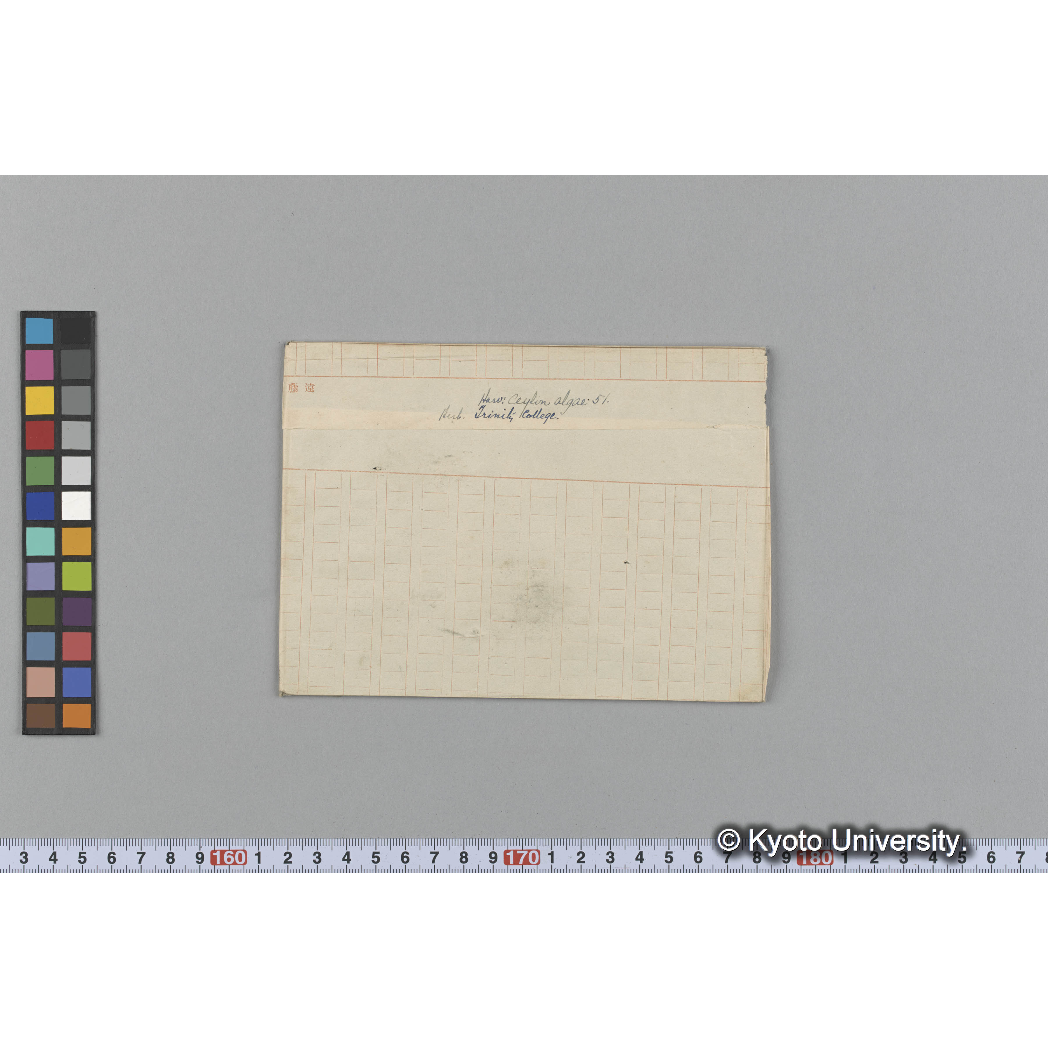 Harv : Ceylon Algae 51 / Herb. Trinity College. （写真帳番号 64） (1)