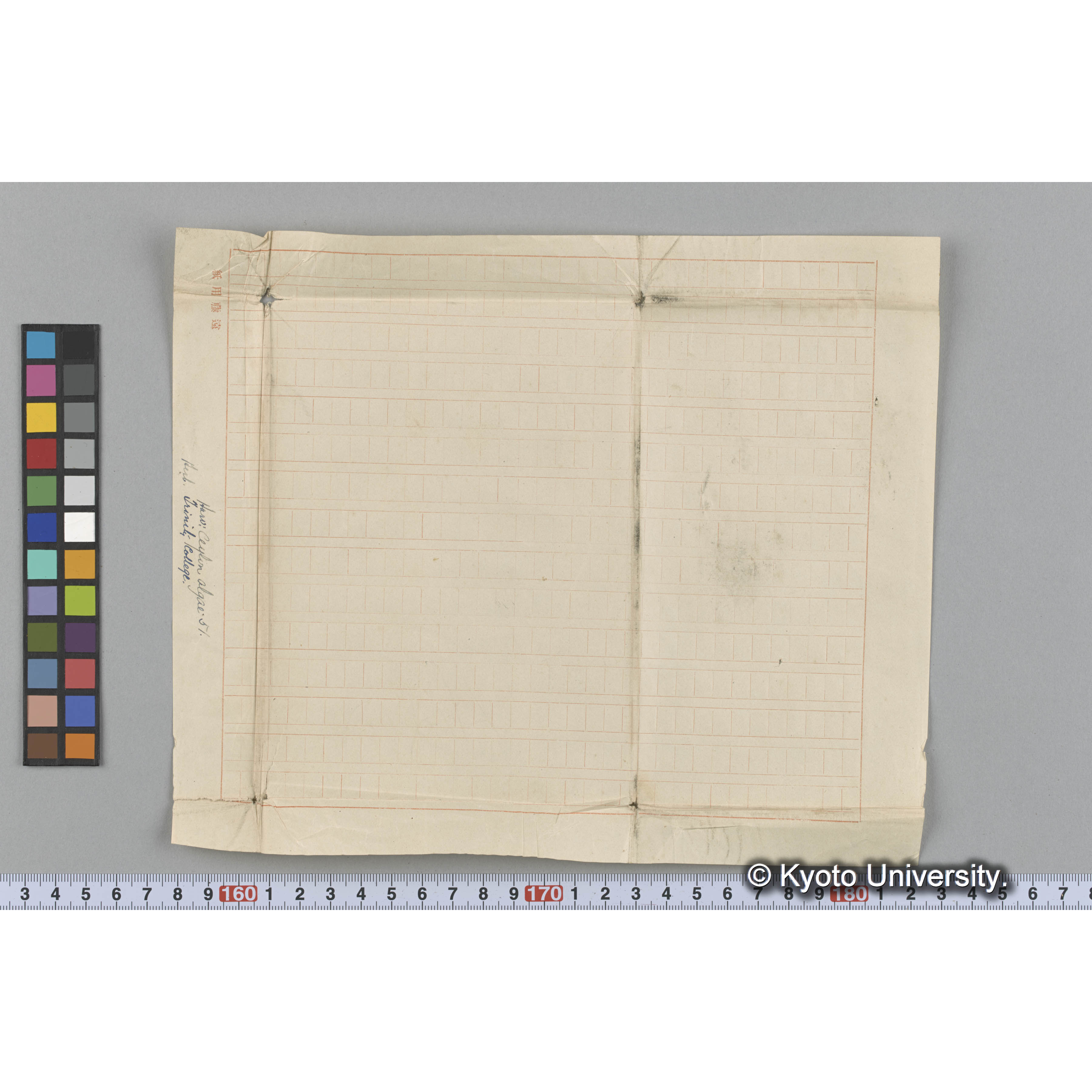 Harv : Ceylon Algae 51 / Herb. Trinity College. （写真帳番号 64） (3)
