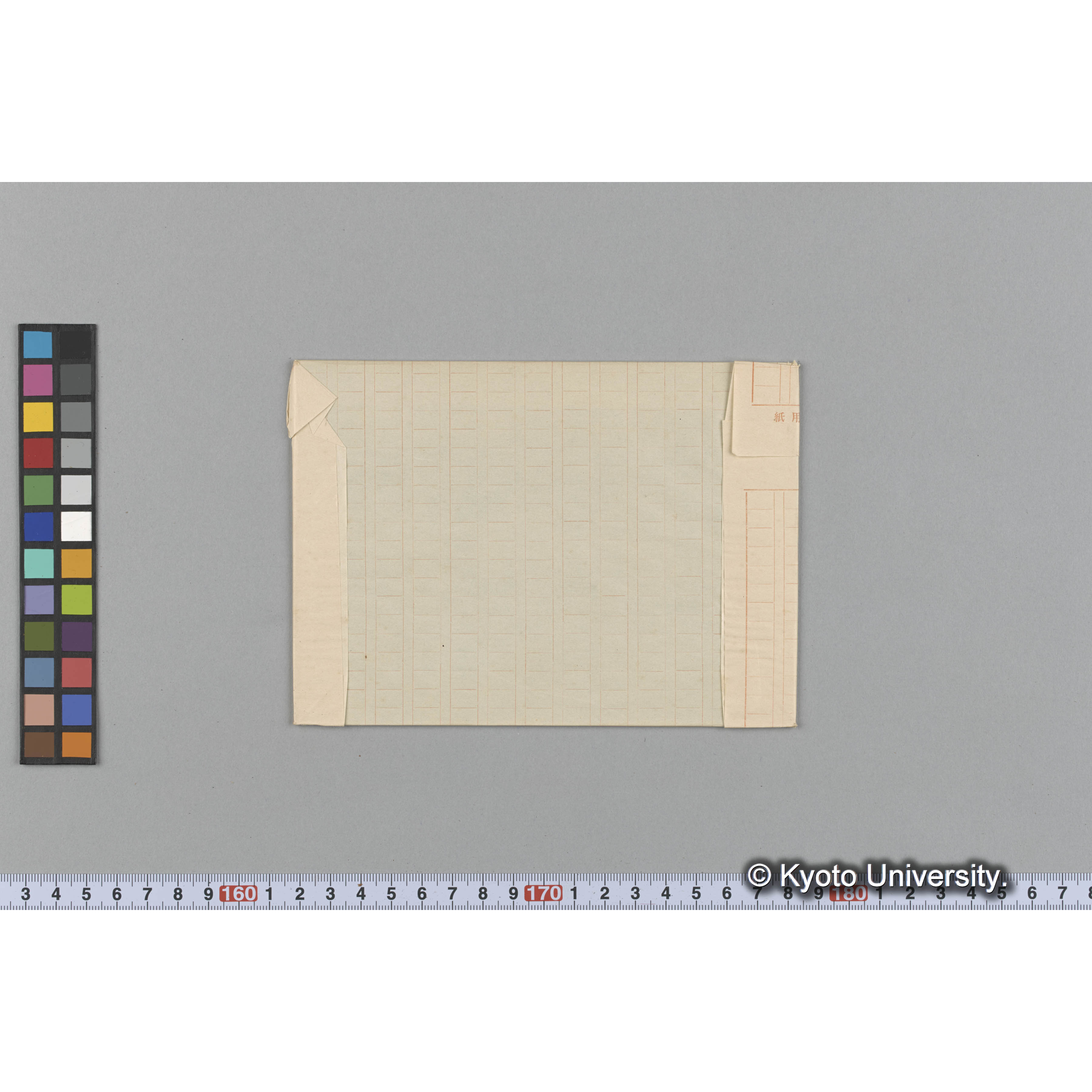 Corallina corymbosa Lamk / Herb. Mus Paris （写真帳番号 35） (2)
