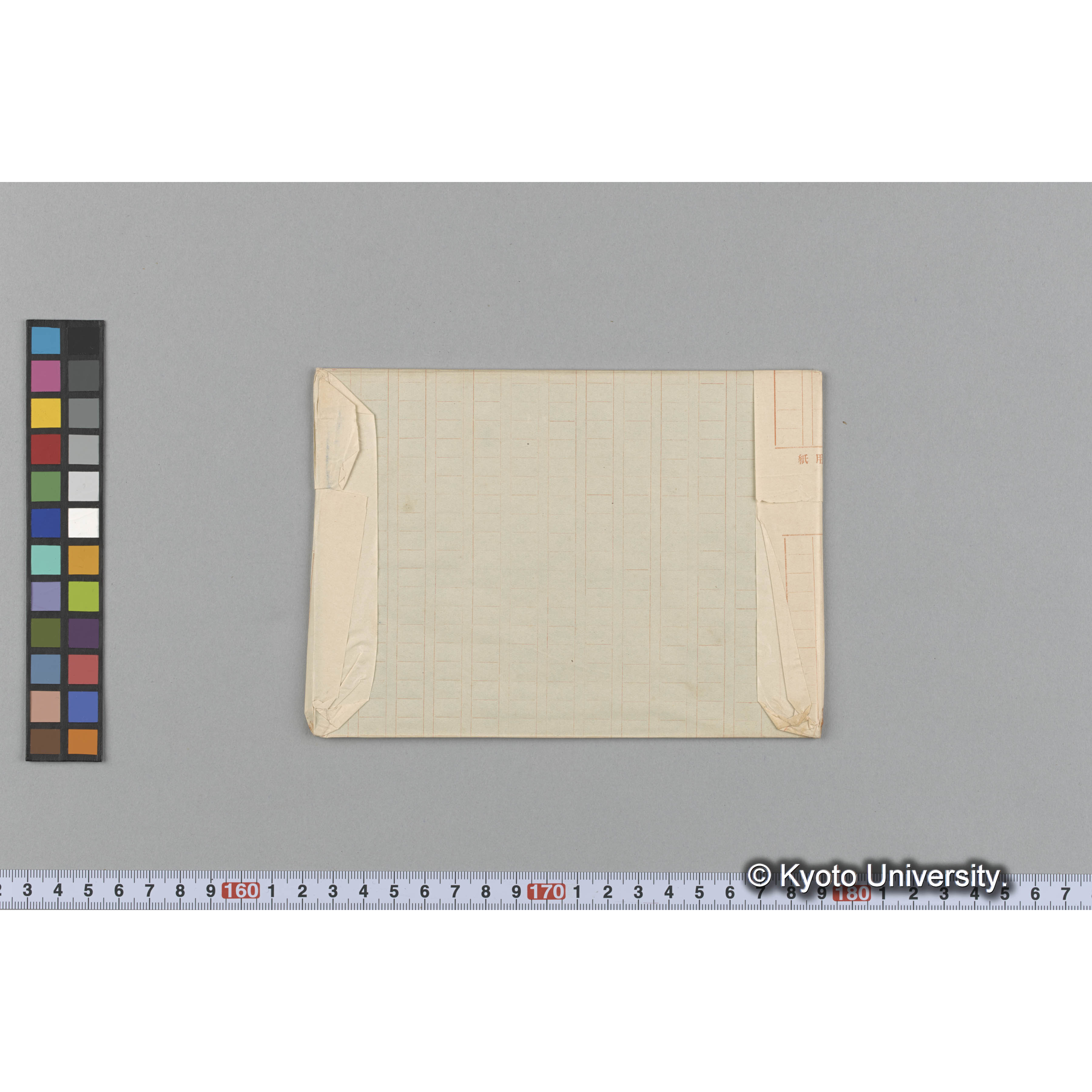 Halymenia ceylanica / A forma / Trinity college （写真帳番号 58） (2)