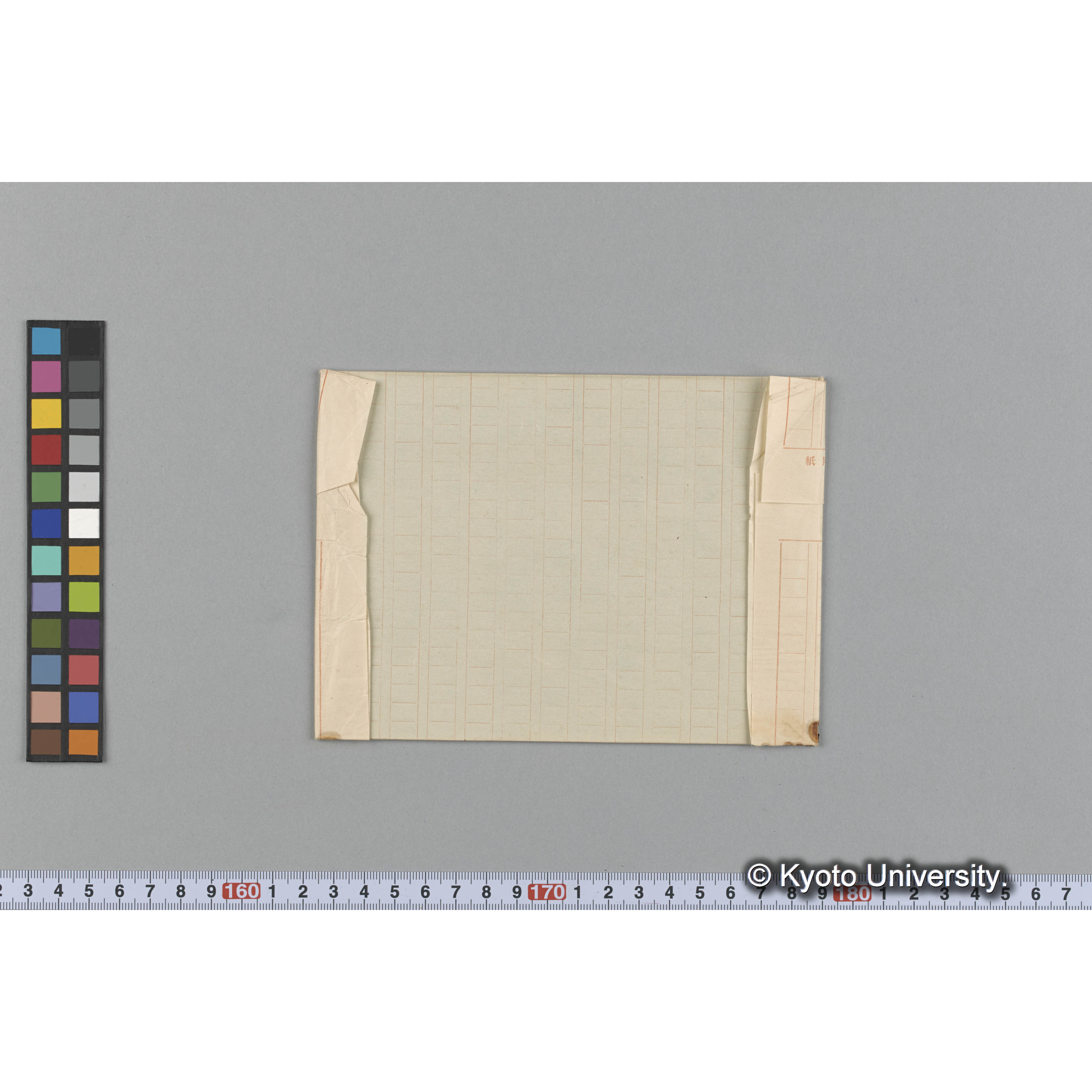 Halymenia formosa Harv. / Trinity College （写真帳番号 61） (2)