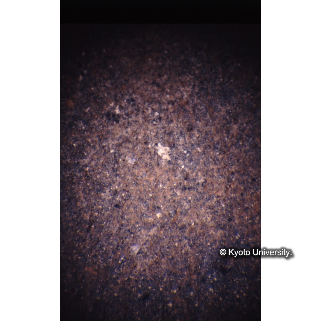 顕微鏡撮影カラー写真（部分） (1)