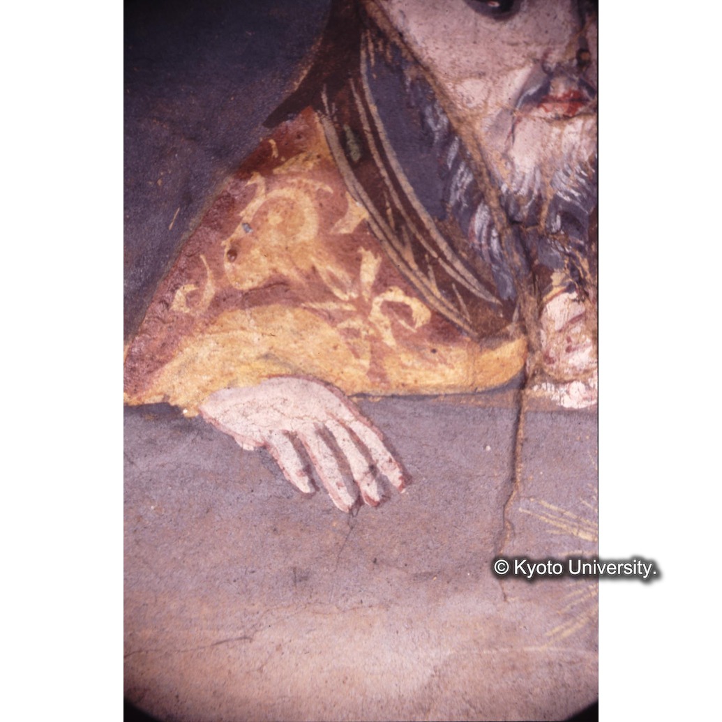 顕微鏡撮影カラー写真（十五玄義第四図：シメオン） (1)