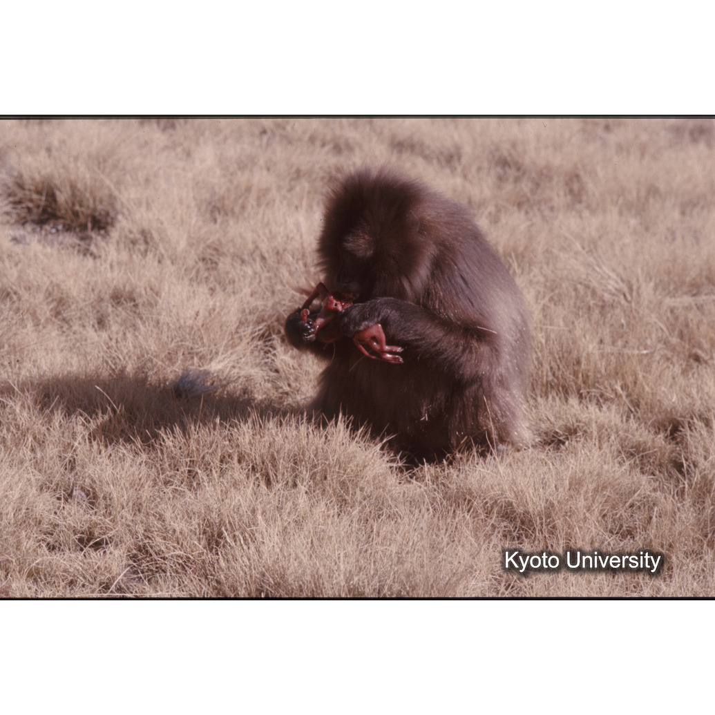 Sm　1973　681, 328, 388, 1217, 1218, 1276, 1219, 836, 386 (9)