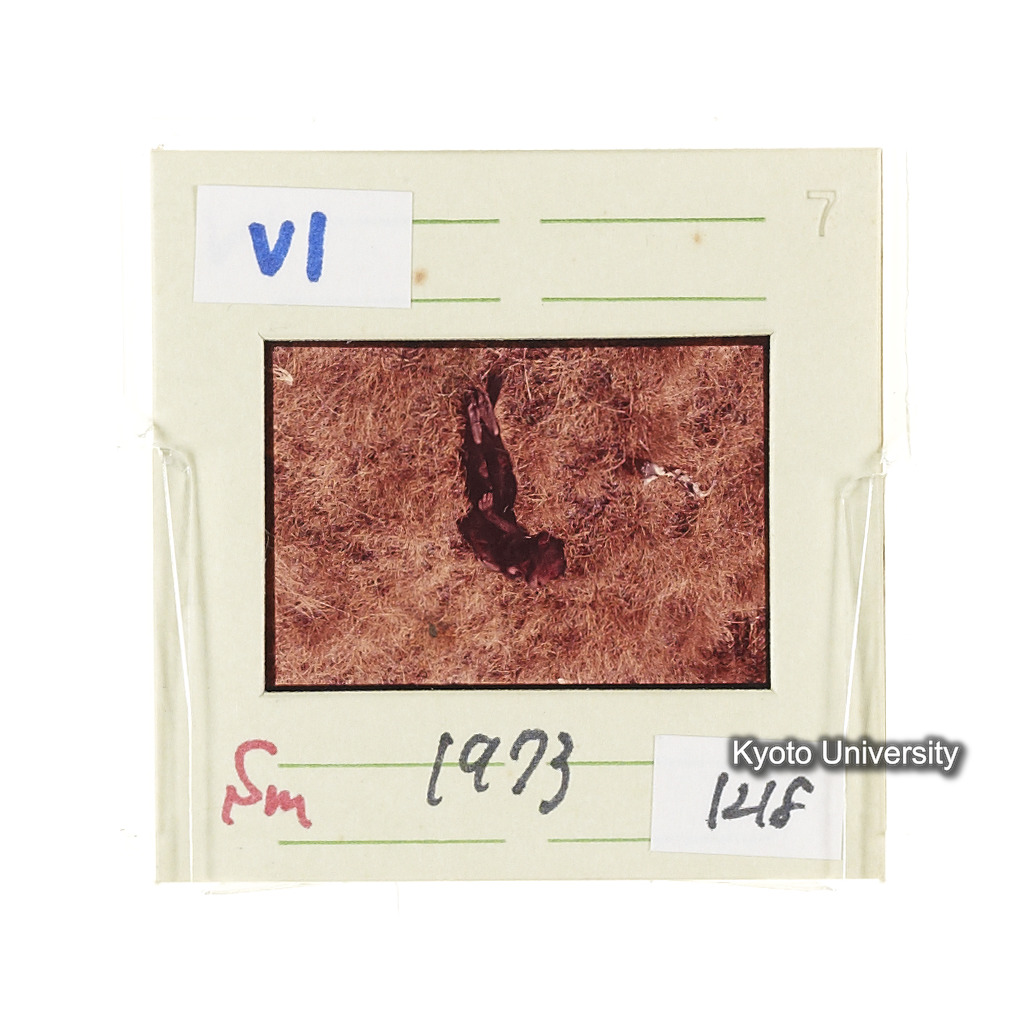 Sm　1973　681, 328, 388, 1217, 1218, 1276, 1219, 836, 386 (14)