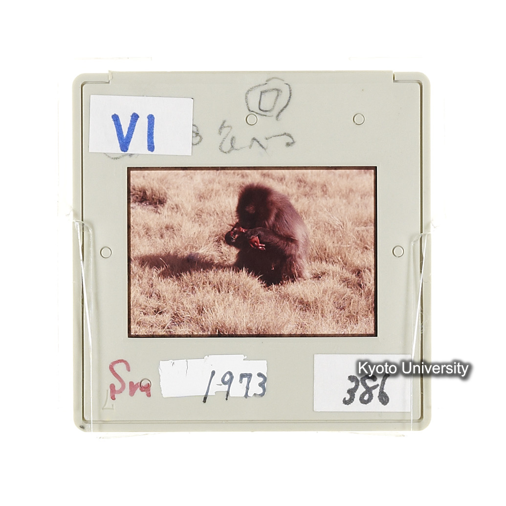 Sm　1973　681, 328, 388, 1217, 1218, 1276, 1219, 836, 386 (18)