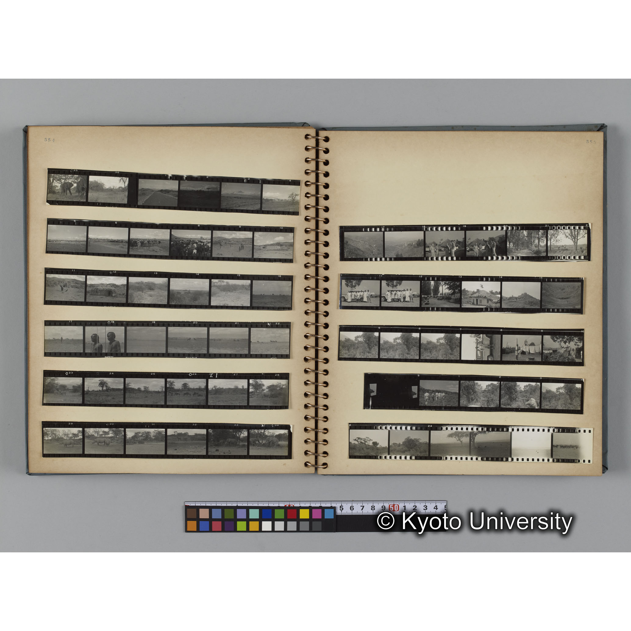 ゴリラ探検写真アルバム１（コンタクトシート533～560対応分） (15)