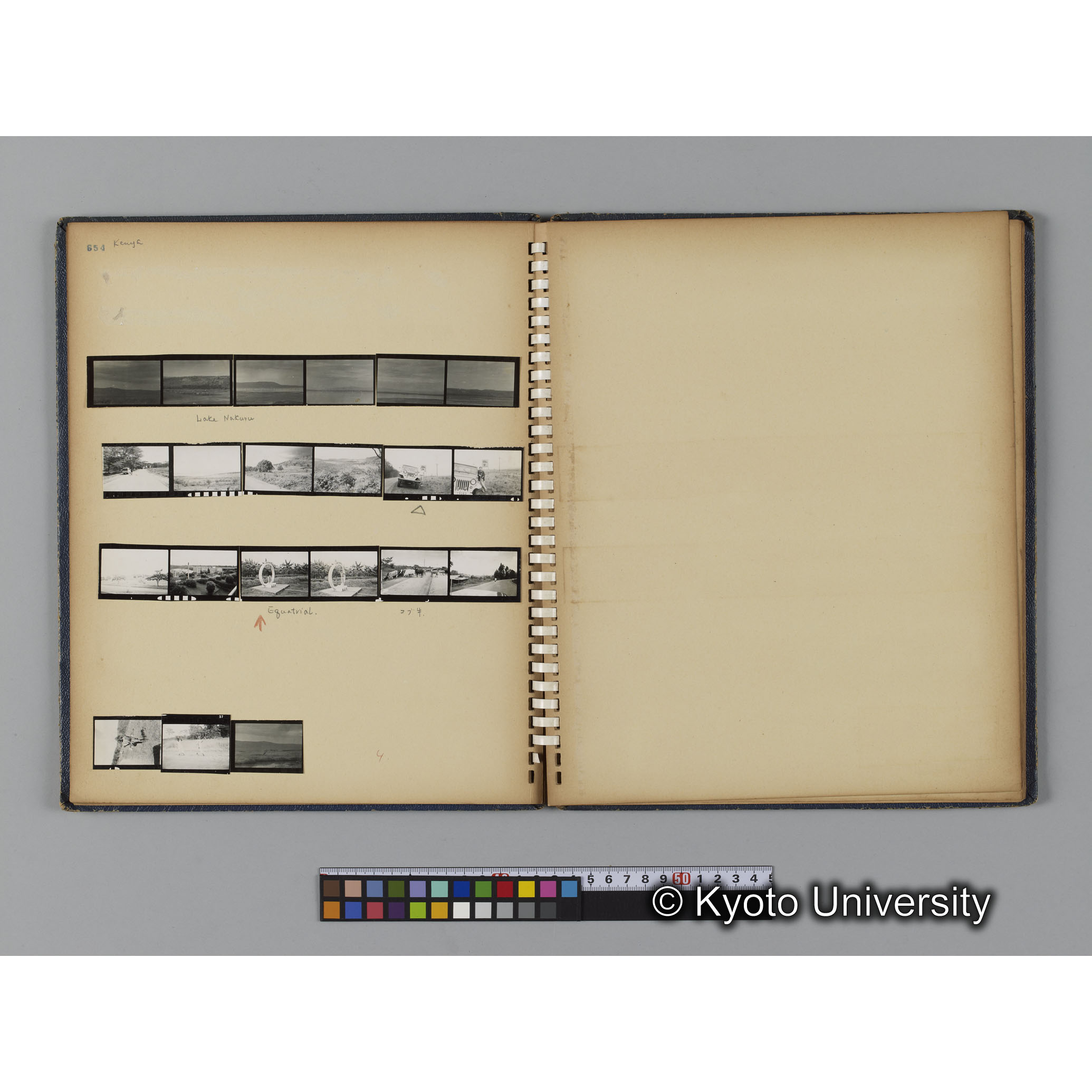 ゴリラ探検写真アルバム２（コンタクトシート651～661対応分） (9)
