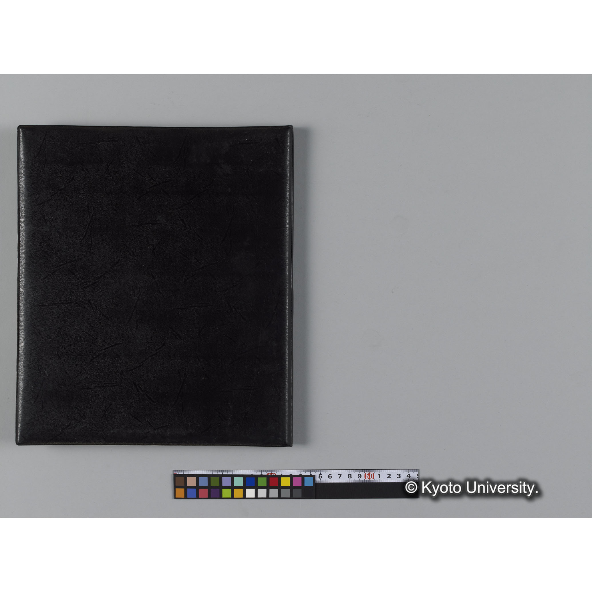 アルバム７，日本モンキーセンター関係写真（ゴリラ探検写真含） (13)