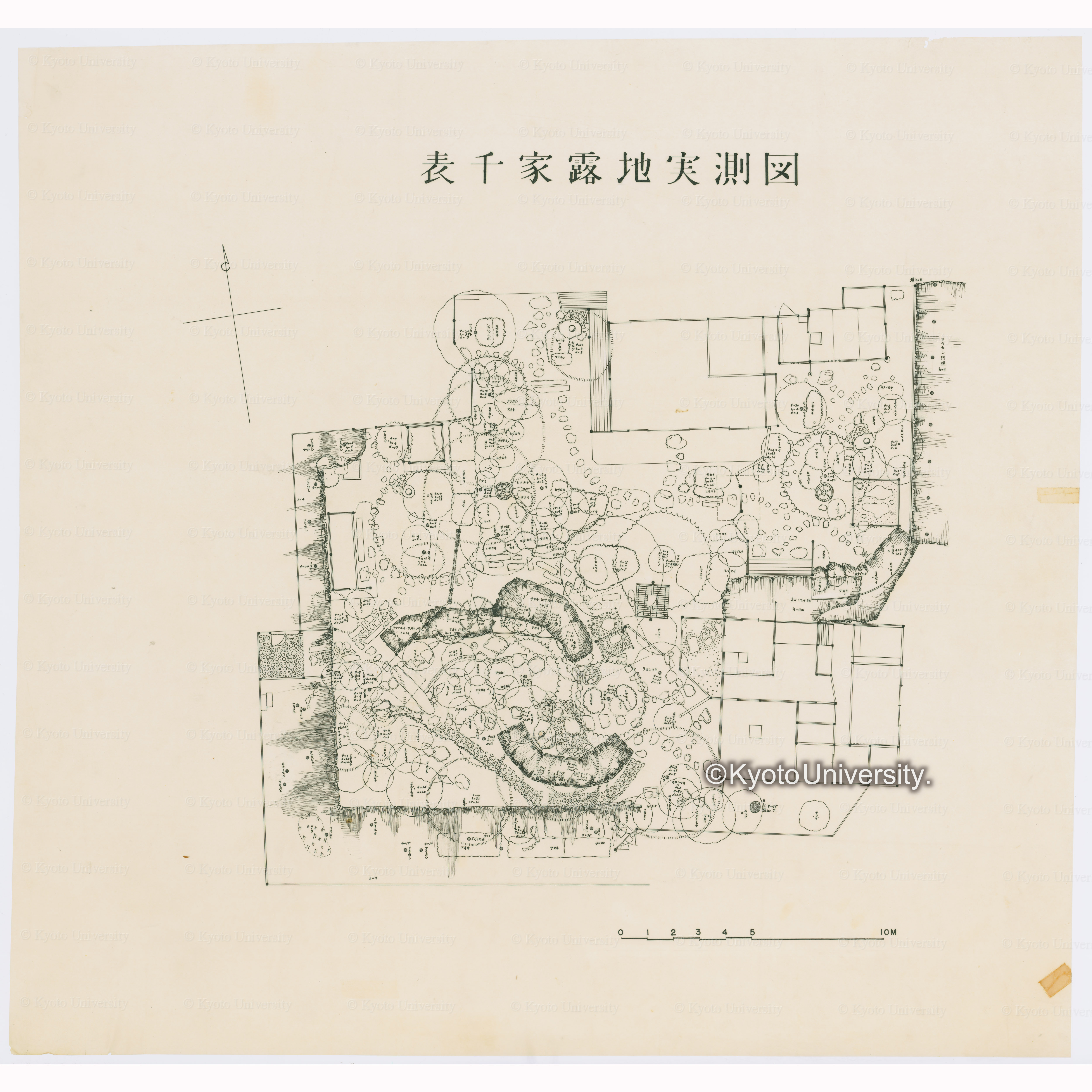 表千家露地実測図 (1)