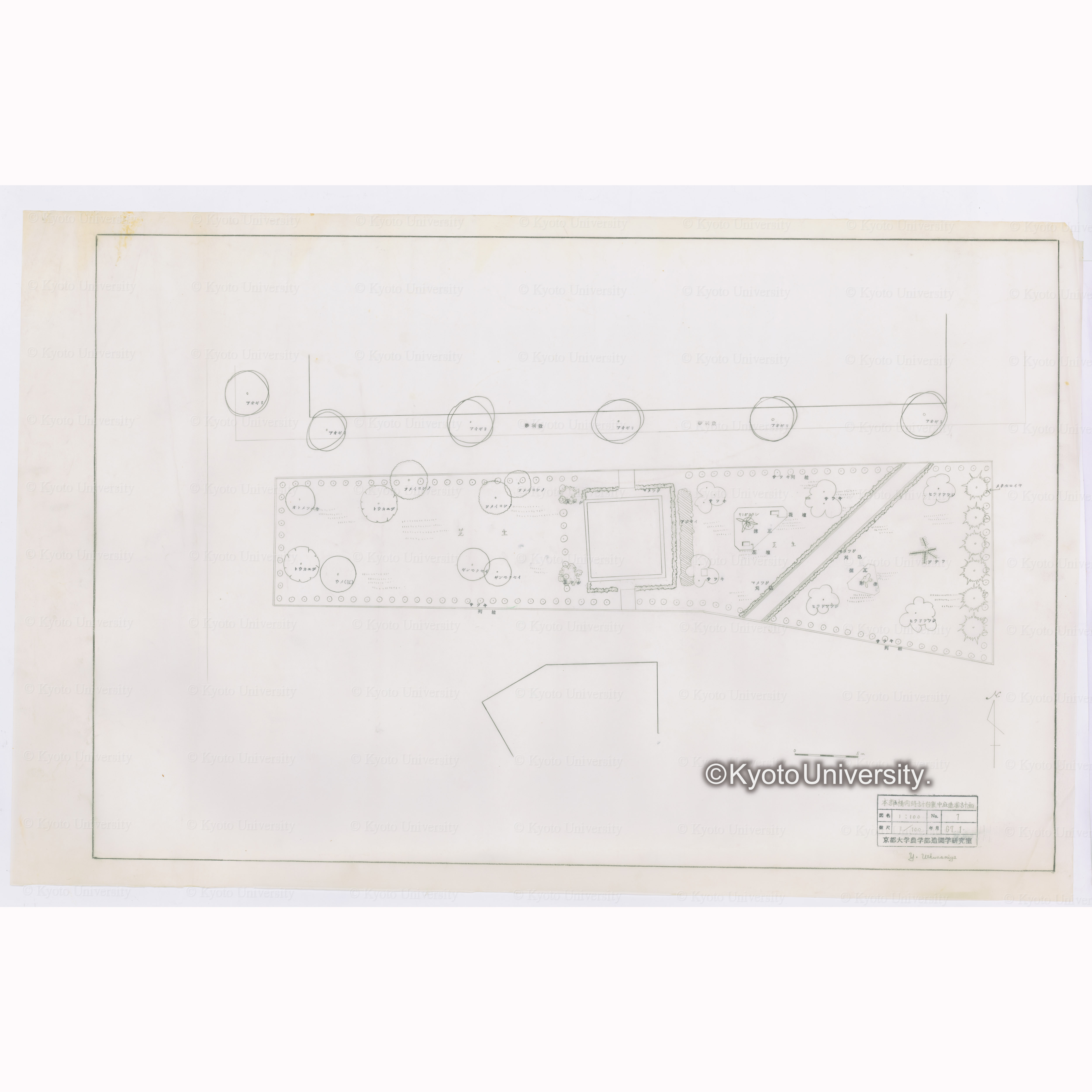 本部構内時計台裏中庭造園計画　図名1:100　No.1 縮尺1/100　年月67.1　京都大学農学部造園学研究室　Y.Uthunomiya (1)