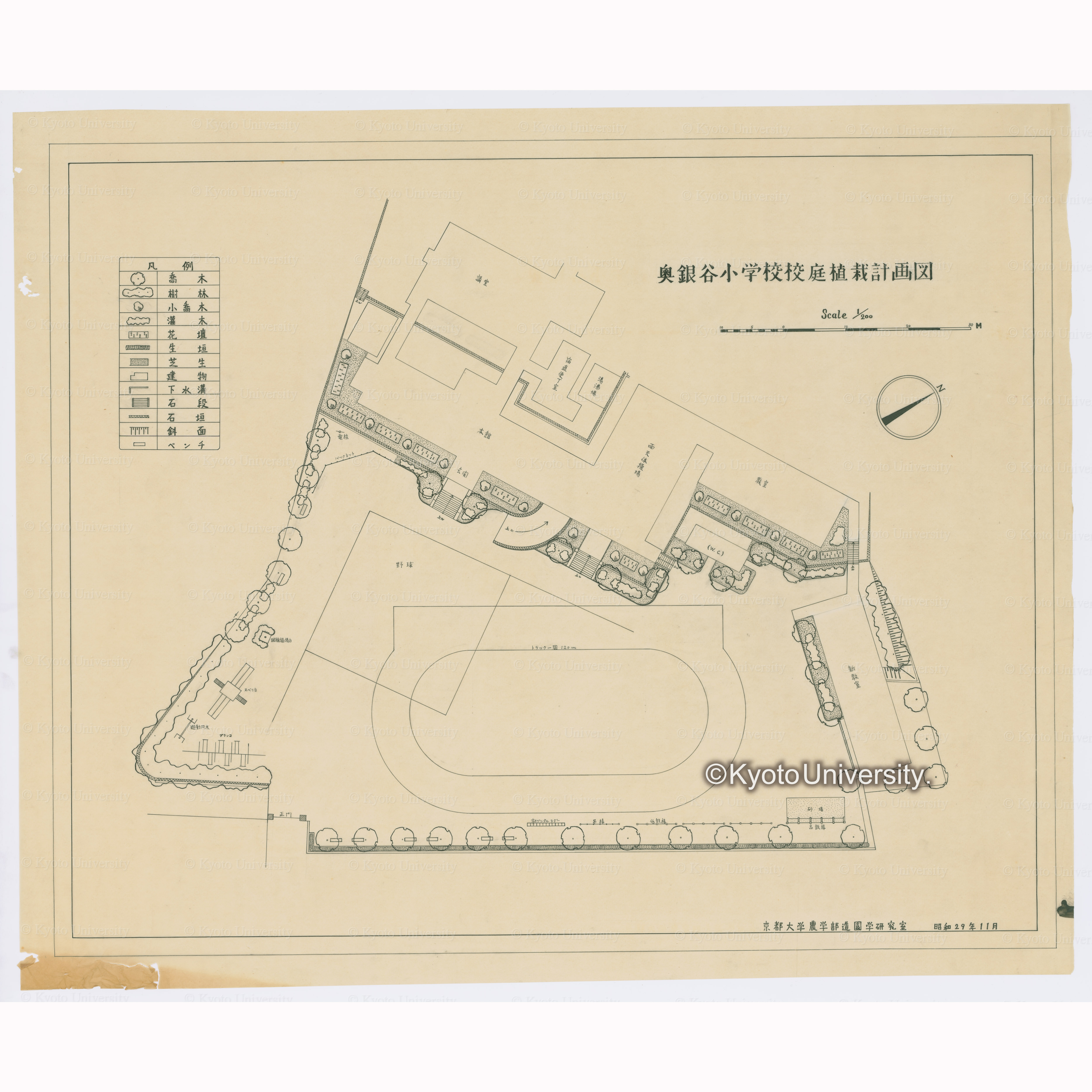 奥銀谷小学校校庭植栽計画図　Scale1/200　京都大学農学部造園学研究室　昭和29年11月 (1)