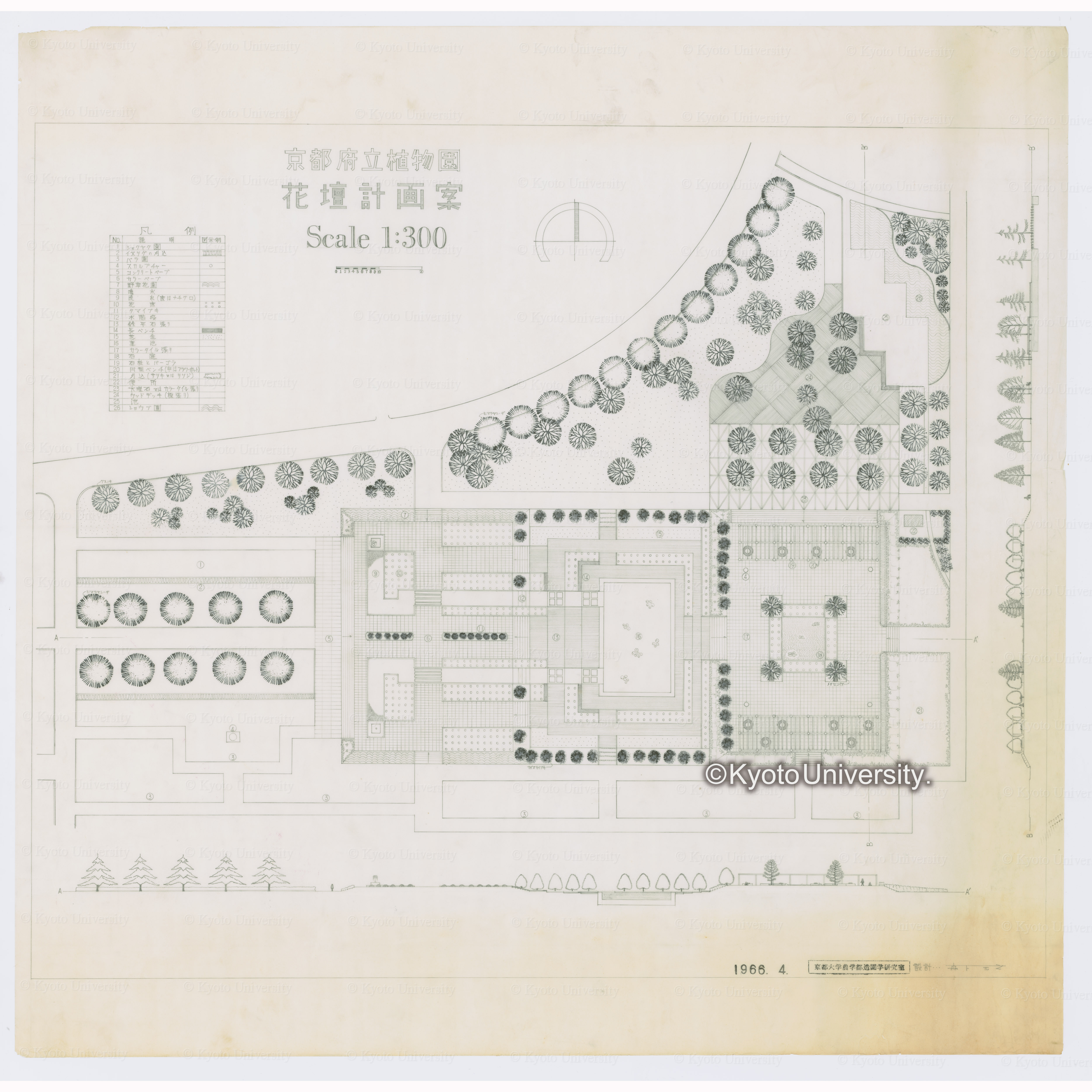 京都府立植物園花壇計画案　Scale1:300　1966.4.京都大学農学部造園学研究室　設計森下元之 (1)