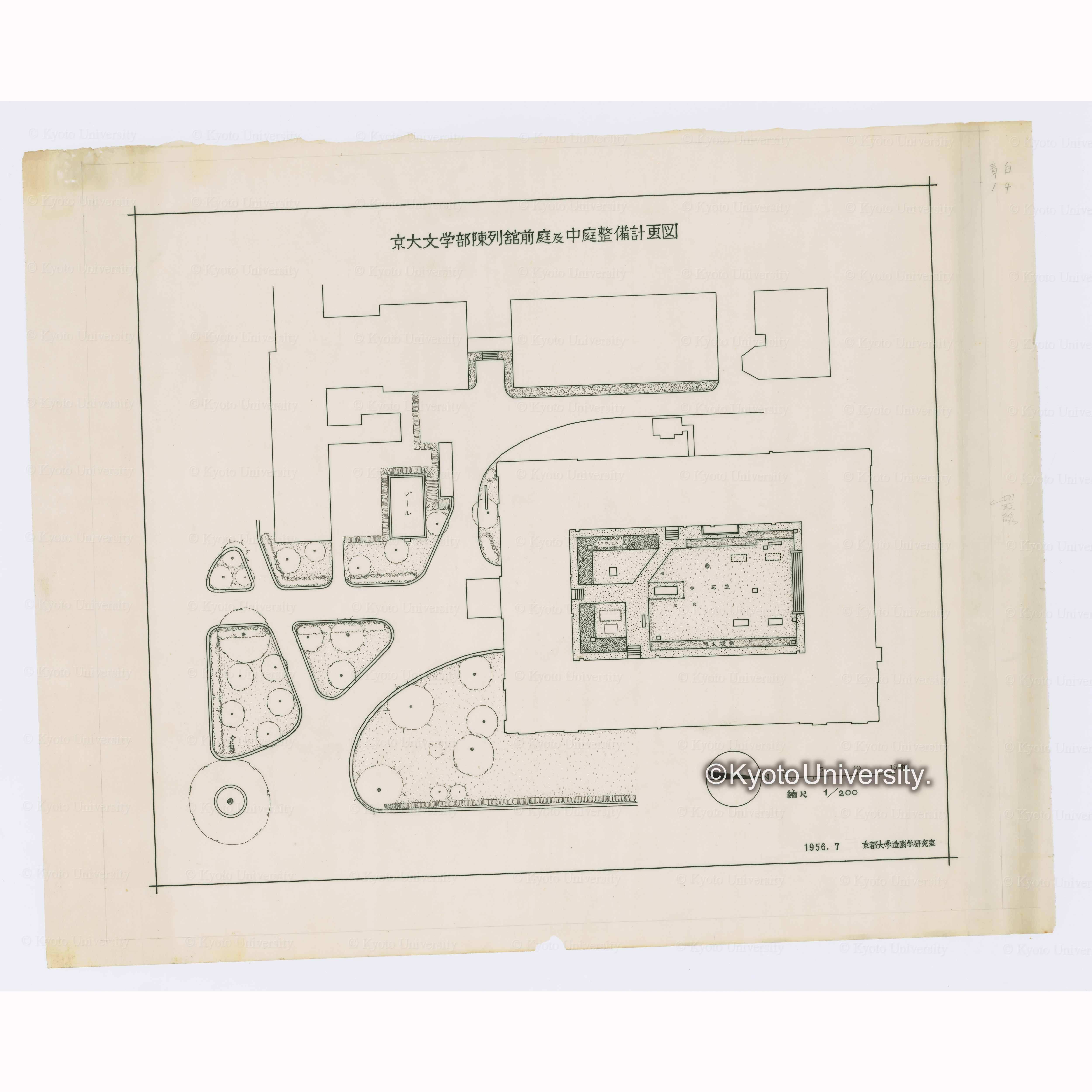京大文学部陳列館前庭及中庭整備計画図　縮尺1/200　1956.7　京都大学造園学研究室 (1)