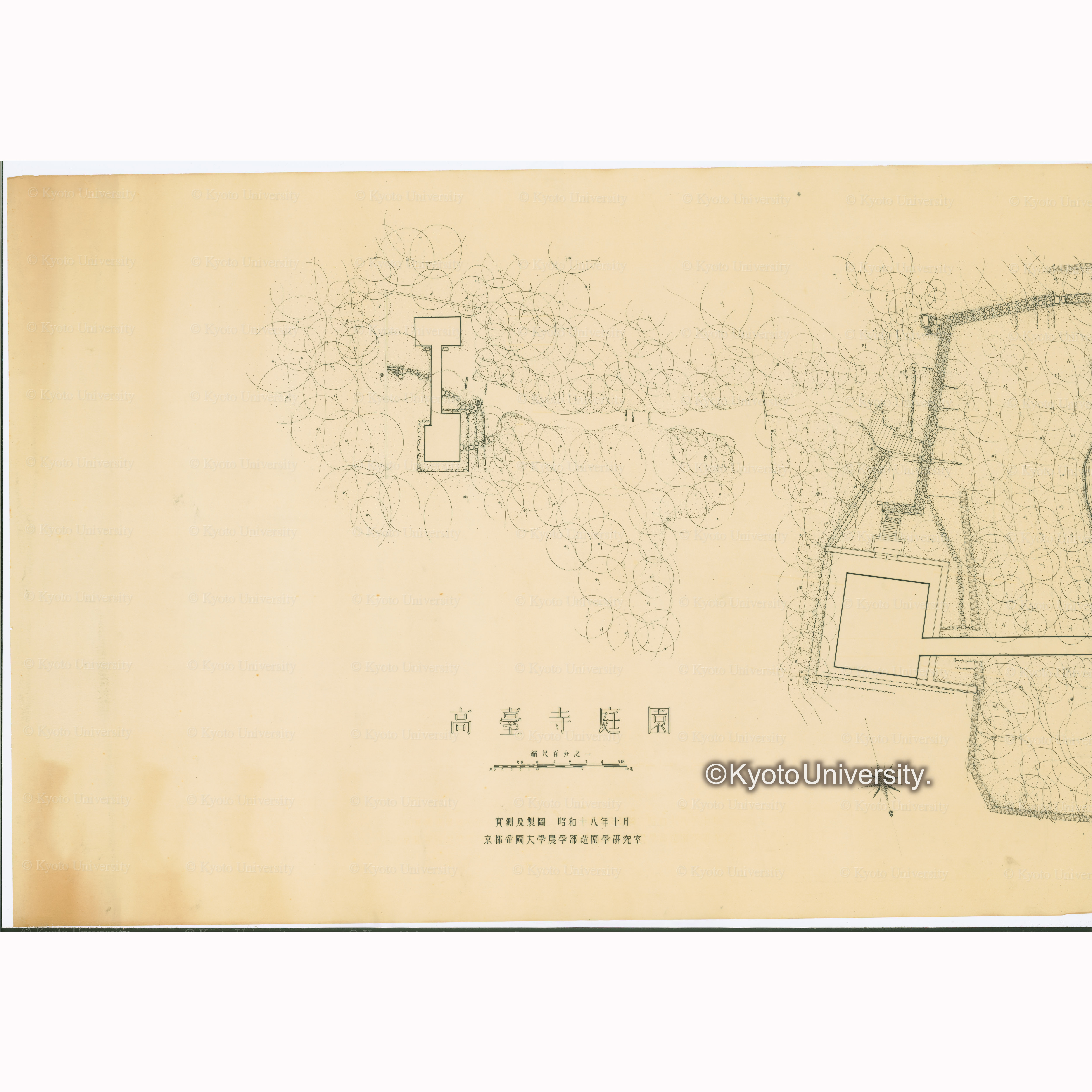 ［1/2］高台寺庭園 縮尺百分之一　実測及製図　昭和十八年十月　京都帝国大学農学部造園学研究室 (1)