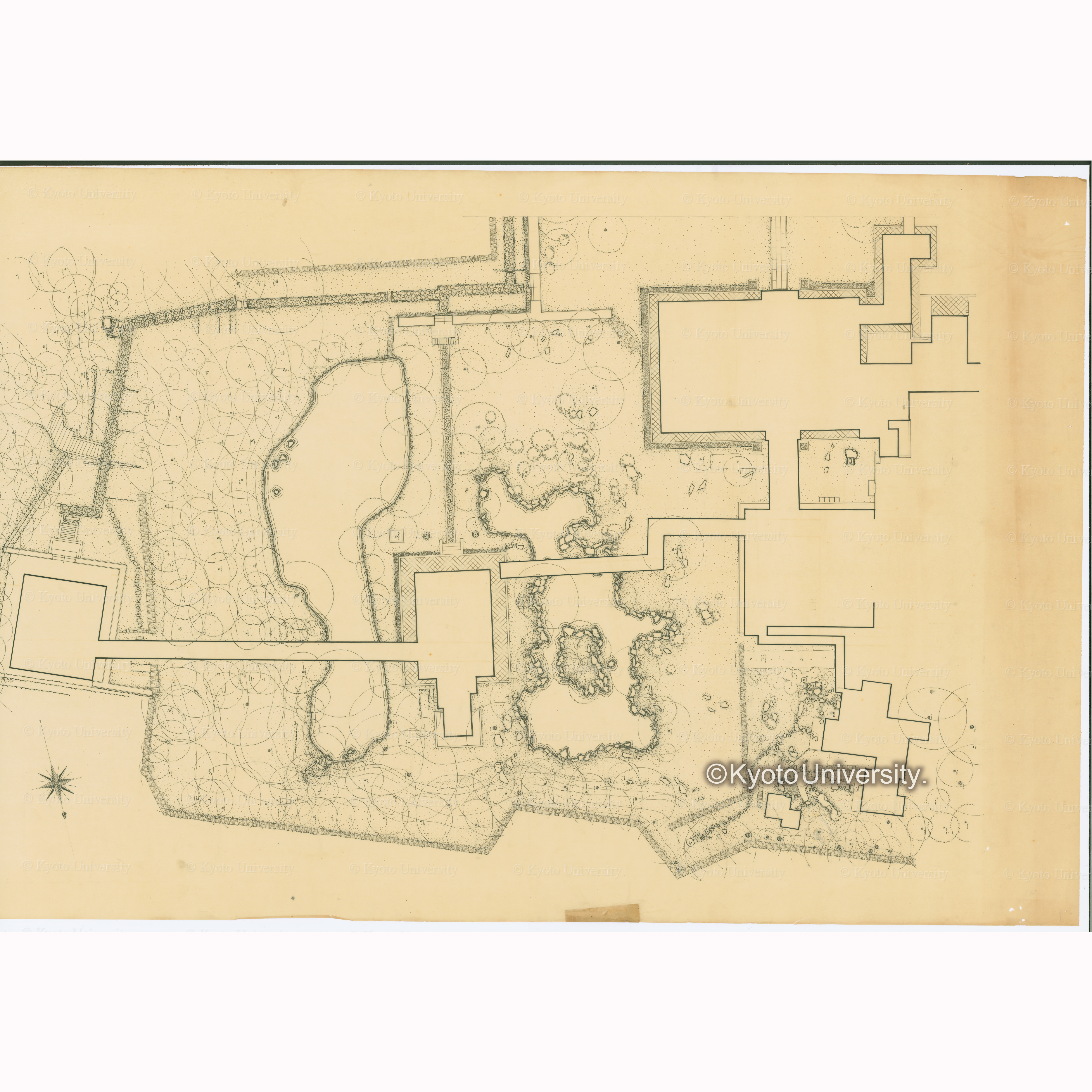 ［1/2］高台寺庭園 縮尺百分之一　実測及製図　昭和十八年十月　京都帝国大学農学部造園学研究室 (2)