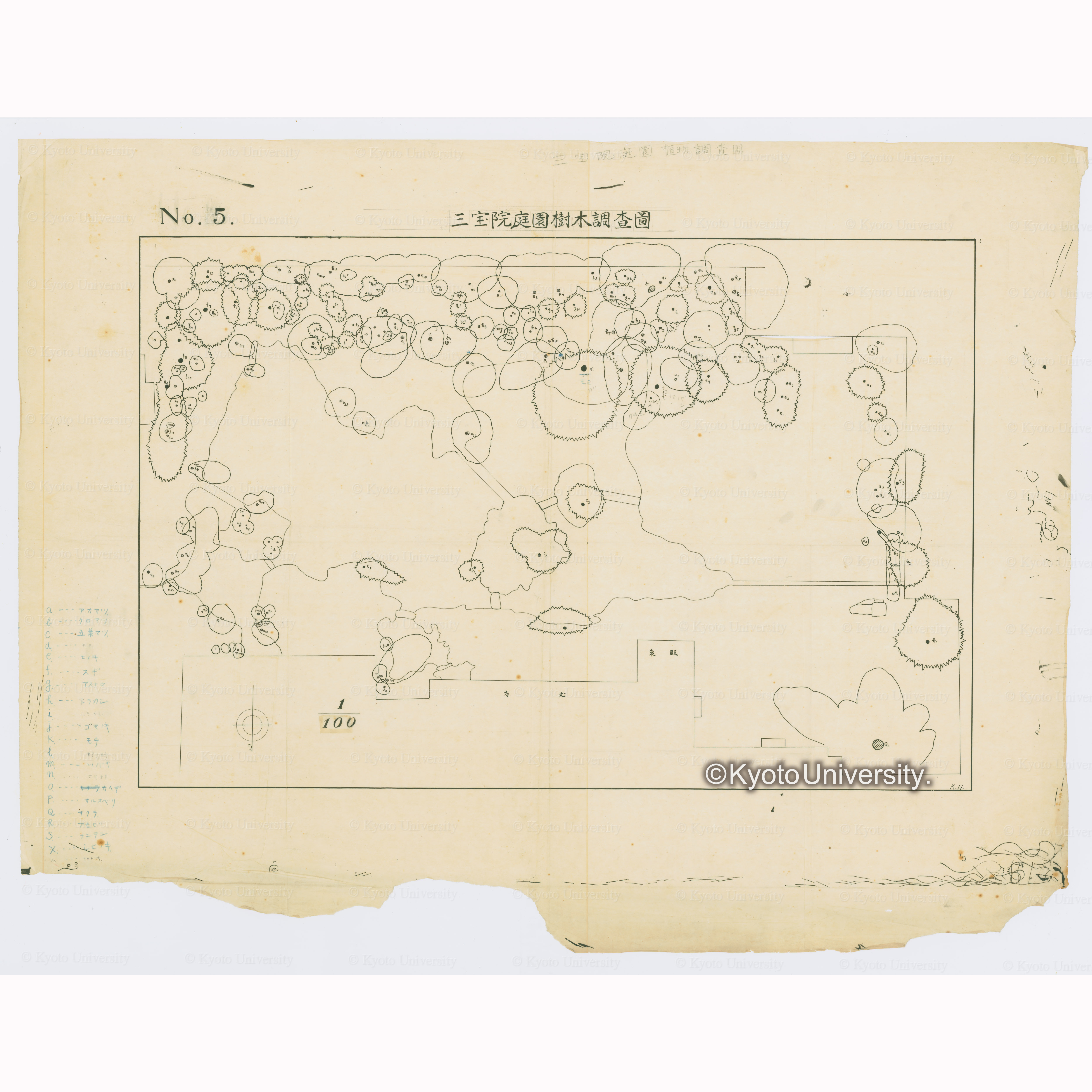 No.5　三宝院庭園樹木調査図　1/100　K.N. (1)