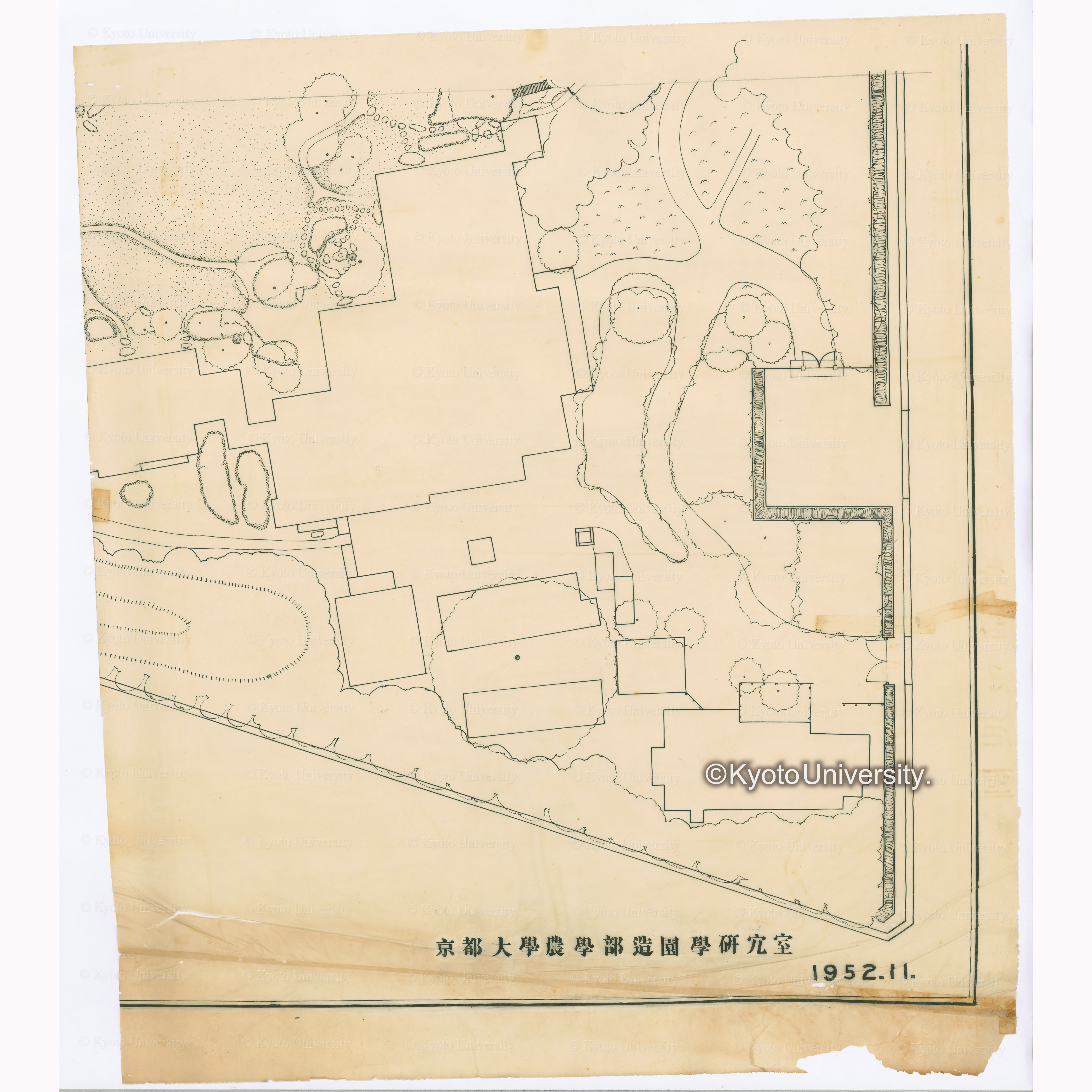 清風荘庭園実測図　縮尺1:100　京都大学農学部造園学研究室　1952.11. (4)