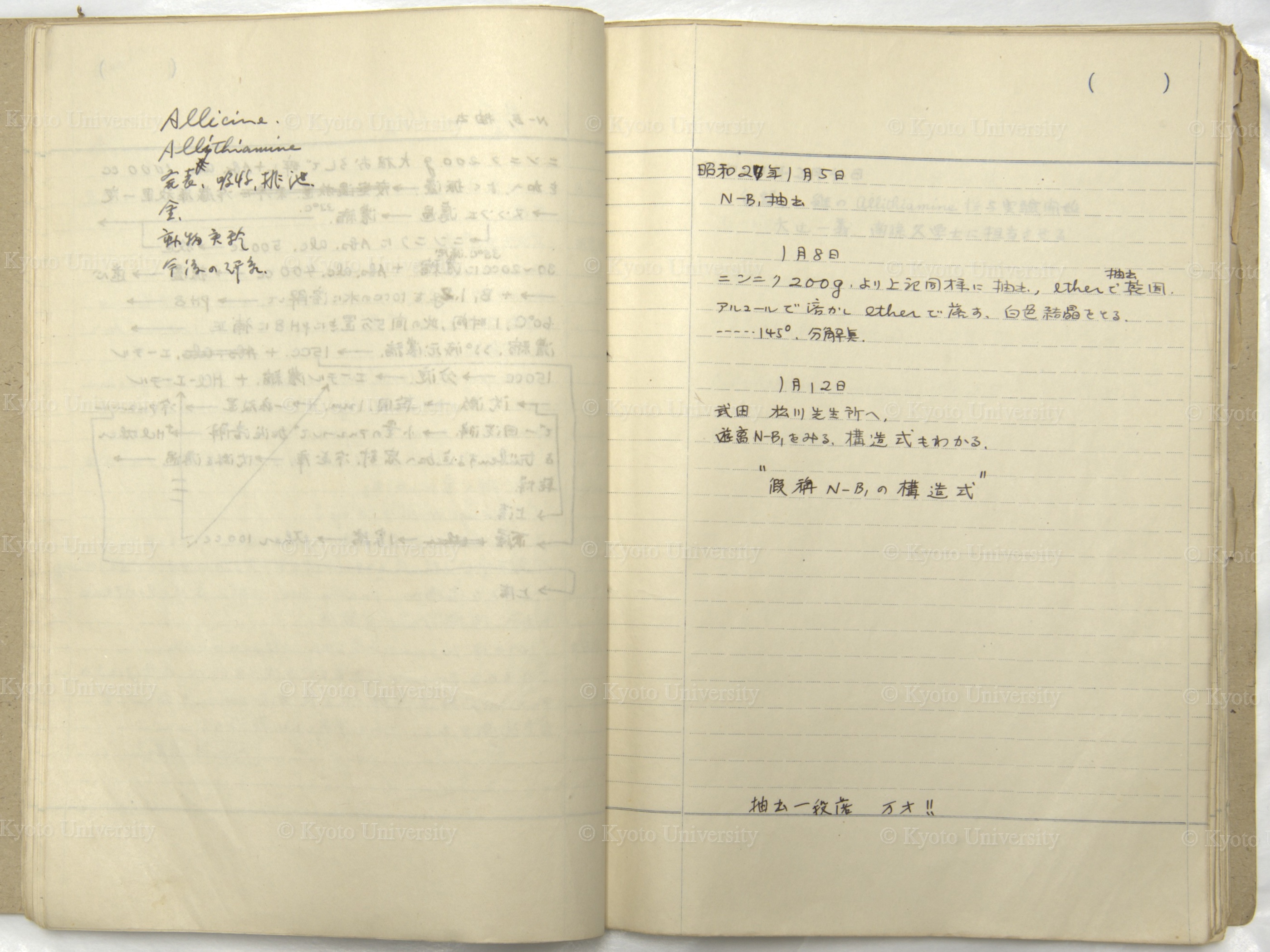 藤原元典, アリチアミンに関する研究 1950〜52, p.26-27