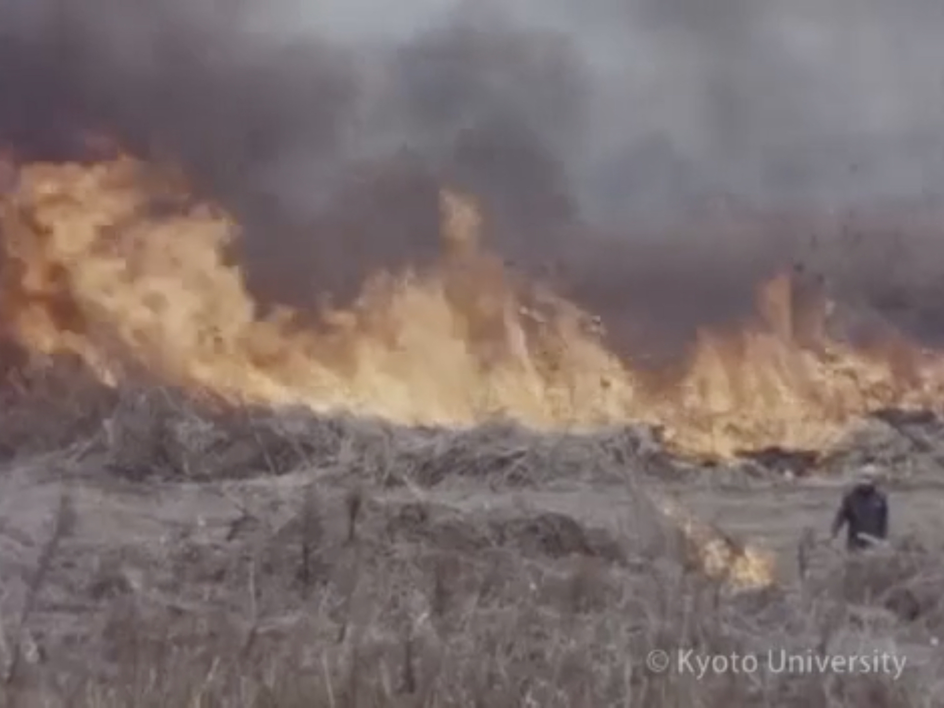 堀田満映像資料 : 映画フィルム, 1960-ca.1982, 2-8.